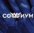 «Софиум». Второй тур - Избирательная комиссия