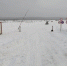 Ледовая переправа через Лену открылась в Киренском районе - IrkutskMedia.Ru