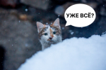 Переменная облачность установится в Иркутске в субботу, 13 декабря