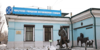В Приангарье принят региональный закон о ветеринарии - Служба ветеринарии