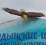 «Ёрдынские игры» - Министерство цифрового развития и связи
