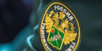 В Хакасии выявили контрабанду леса на 185 миллионов рублей - Baikal24.Ru