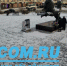 Иркутскому бабру вернули шарф. Это сняла камера WEACOM - Weacom.Ru