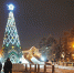 Ель на сквере Кирова. Фото Маргариты Романовой, IRK.ru - Irk.Ru