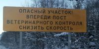 Пять тонн нелегального мяса задержали за день в Слюдянском районе - ИА Альтаир