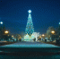 Новогодняя елка. Фото Маргариты Романовой, IRK.ru - Irk.Ru