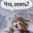 Метели ожидаются в Иркутске в субботу, 27 декабря - IrkutskMedia.Ru