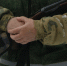 Браконьер из Тайшетского района получил условный срок за охоту на лося - КП-Иркутск