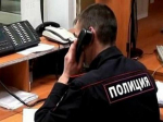 В Партизанске с городской ёлки украли декоративные шары
