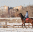 Иркутский ипподром. Фото Маргариты Романовой, IRK.ru - Irk.Ru