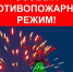 Особый противопожарный режим введен в Иркутской области на период новогодних и рождественских праздников - GazetaHot.Ru