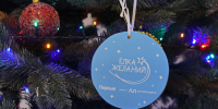 Депутаты Заксобрания вручили подарки детям в рамках акции «Елка желаний» - Законодательное Собрание