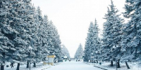Тепло вернулось в Красноярск 4 января - Baikal24.Ru