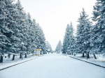 Тепло вернулось в Красноярск 4 января