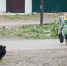 Собака и ребенок. Фото Маргариты Романовой, IRK.ru - Irk.Ru