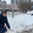 Прокуратура НСО: "Выпавший снег является новостью для сибирских дорожников" - Baikal24.Ru