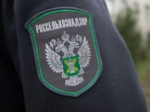 В новосибирском аэропорту изъяли больше 60 килограммов продуктов