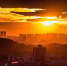 Фото https://pixabay.com/ - SIA.RU