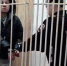 В Приморье арестовали троих участников масштабного мошенничества с иномарками - Baikal24.Ru