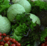 Эксперт назвал самые полезные зимние продукты - КП-Иркутск