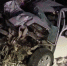 Авария в Тайшетском округе. Скриншот видео Госавтоинспекции - Irk.Ru