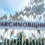 В селе Максимовщина Иркутского района отключили электричество - ИА Альтаир