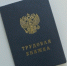 Какие профессии будут на пике зарплат в 2026 году - прогноз HR-эксперта - IrkutskMedia.Ru