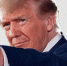 Что за «Совет мира» создает Дональд Трамп и как он это делает? - Иркутская торговая газета