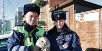 image - Газета Иркутск