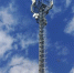 МТС включила отечественную сеть LTE на территории «Саянского бройлера» - Weacom.Ru