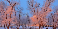 Пора снимать пуховики: в Иркутске 19 февраля потеплеет до +8 - Baikal24.Ru