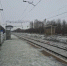 Мужчина погиб под колесами грузового поезда в пригороде Новосибирска - Baikal24.Ru