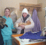 Усть-Илимская ветстанция провела акцию SpayDay - Служба ветеринарии
