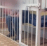 СКриншот видео ГУ МВД России по Иркутской области - Irk.Ru