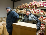 Яркое нашествие цветов на город. «Горзеленхоз» к 8 Марта буквально засыпал Иркутск тюльпанами — более миллиона штук!