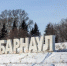 В Барнауле в этом году высадят более 1760 деревьев и кустарников - Baikal24.Ru