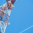 Сеть LTE на Байкальском тракте расширила МТС - Сибирские новости