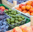 Клещи заражают даже без укуса - IrkutskMedia.Ru