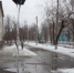 Обзор самых популярных новостей за 19 марта - IrkutskMedia.Ru