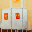 Юлия Гарипова планирует избираться в IX созыв Госдумы по Ангарскому округу - IrkutskMedia.Ru