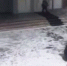 В Братске задержан мужчина, который напугал школьников (Видео) - Weacom.Ru