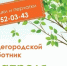 В Ленинском округе в субботниках примут участие порядка 6,5 тысячи человек - Baikal24.Ru