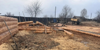 В Нижнеудинском районе задержан черный лесоруб - Weacom.Ru