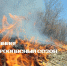 Пожароопасный сезон на всей территории Томской области начнется 17 апреля - Baikal24.Ru