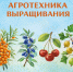 Академия на грядках - Музей истории города Иркутска