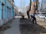 Специалисты службы ветеринарии Иркутской области провели субботник