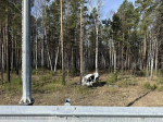Три человека погибли и 20 пострадали в ДТП на дорогах Иркутска и района
