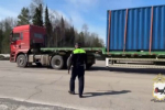 В Приангарье во время рейдов выявили автомобили с криминальной символикой