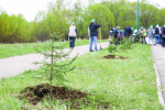 В Иркутске продолжается озеленение: одну из территорий города украсили новые ели Пресс-служба администрации Иркутска