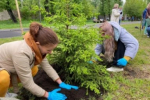 Телебашни Иркутска и Братска украсит праздничная подсветка в честь Дня защиты детей